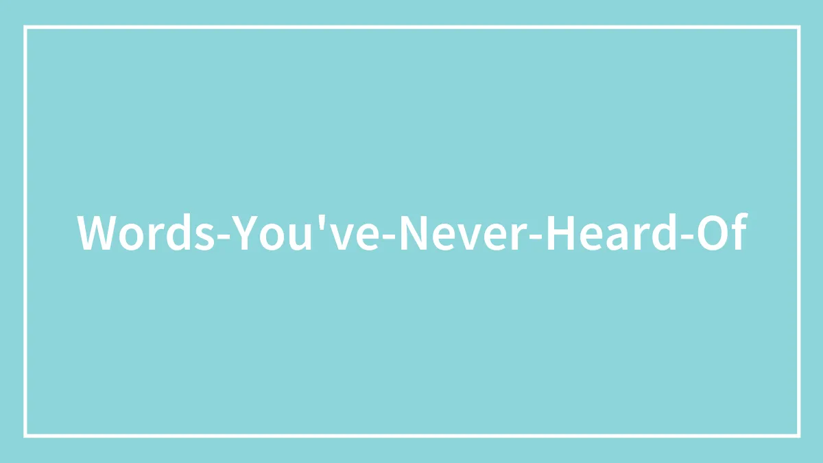 65 Cool Words You May Have Never Heard Of And Their Meanings