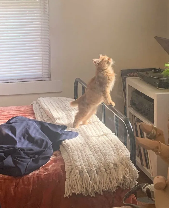 He’s Having A Moment