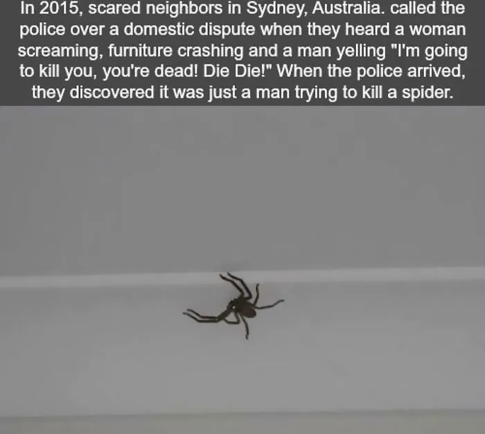 21 Creepy Facts Not For The Faint-Hearted, As Shared On This Instagram Page