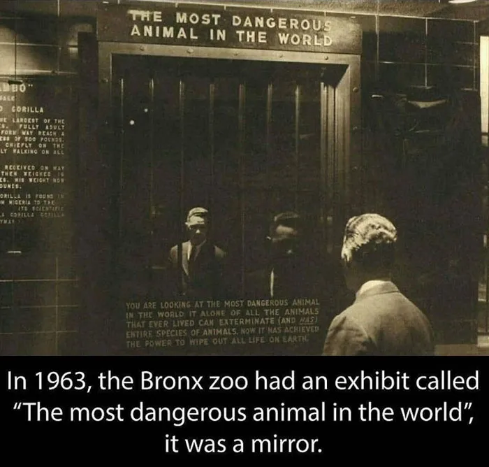 21 Creepy Facts Not For The Faint-Hearted, As Shared On This Instagram Page