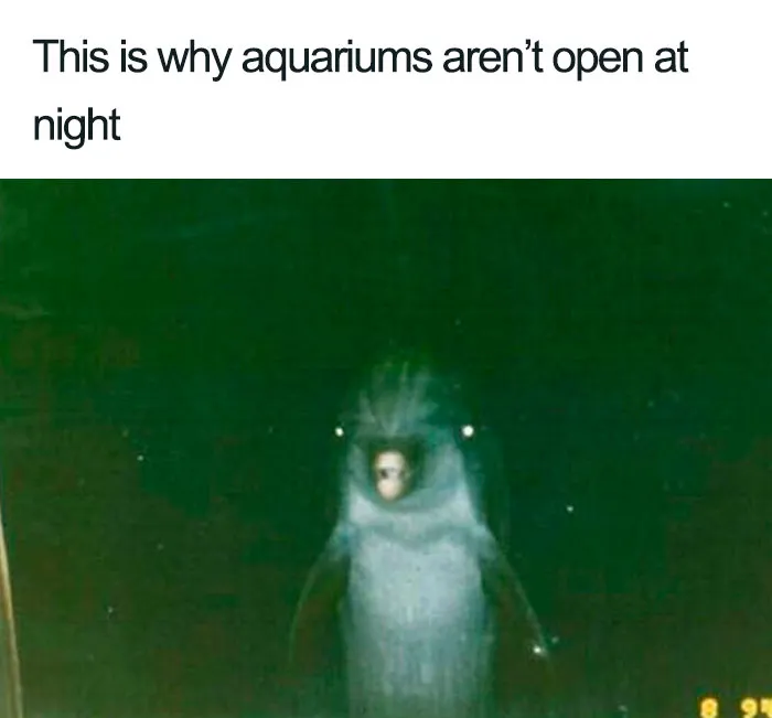 21 Creepy Facts Not For The Faint-Hearted, As Shared On This Instagram Page