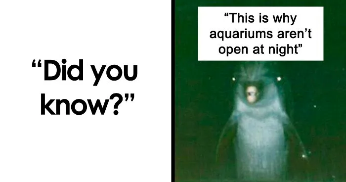 21 Creepy Facts Not For The Faint-Hearted, As Shared On This Instagram Page