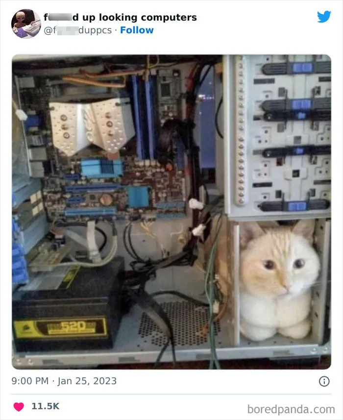 30 Times People Had Such Horrible Computers, They Just Had To Be Shamed On This Twitter Page