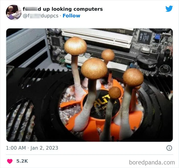 30 Times People Had Such Horrible Computers, They Just Had To Be Shamed On This Twitter Page