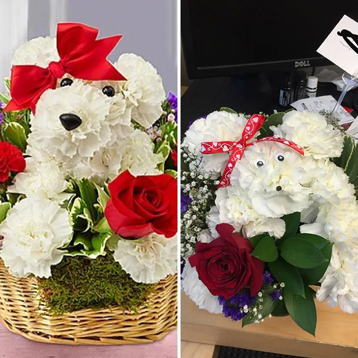 Not What I Thought Would Be Delivered To My Valentine