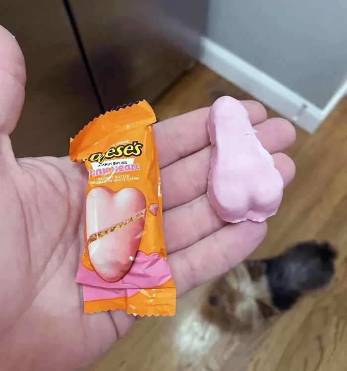 My Girlfriend's Son Bought Us Candy For Valentine's Day. I'm Not Sure What Message He Is Trying To Convey