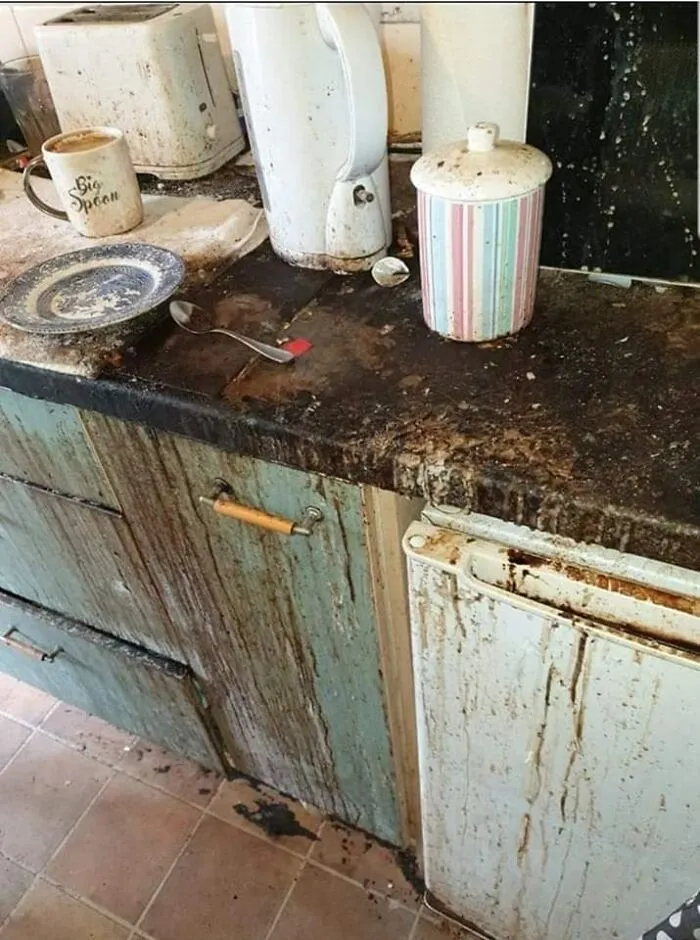 20 Personas tan asqueadas por estas comidas que tuvieron que compartirlas (nuevas fotos)