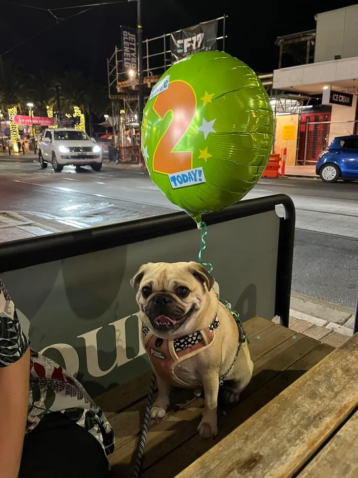 I Didn’t Get His Name... Too Focused On Wishing Him Happy Birthday
