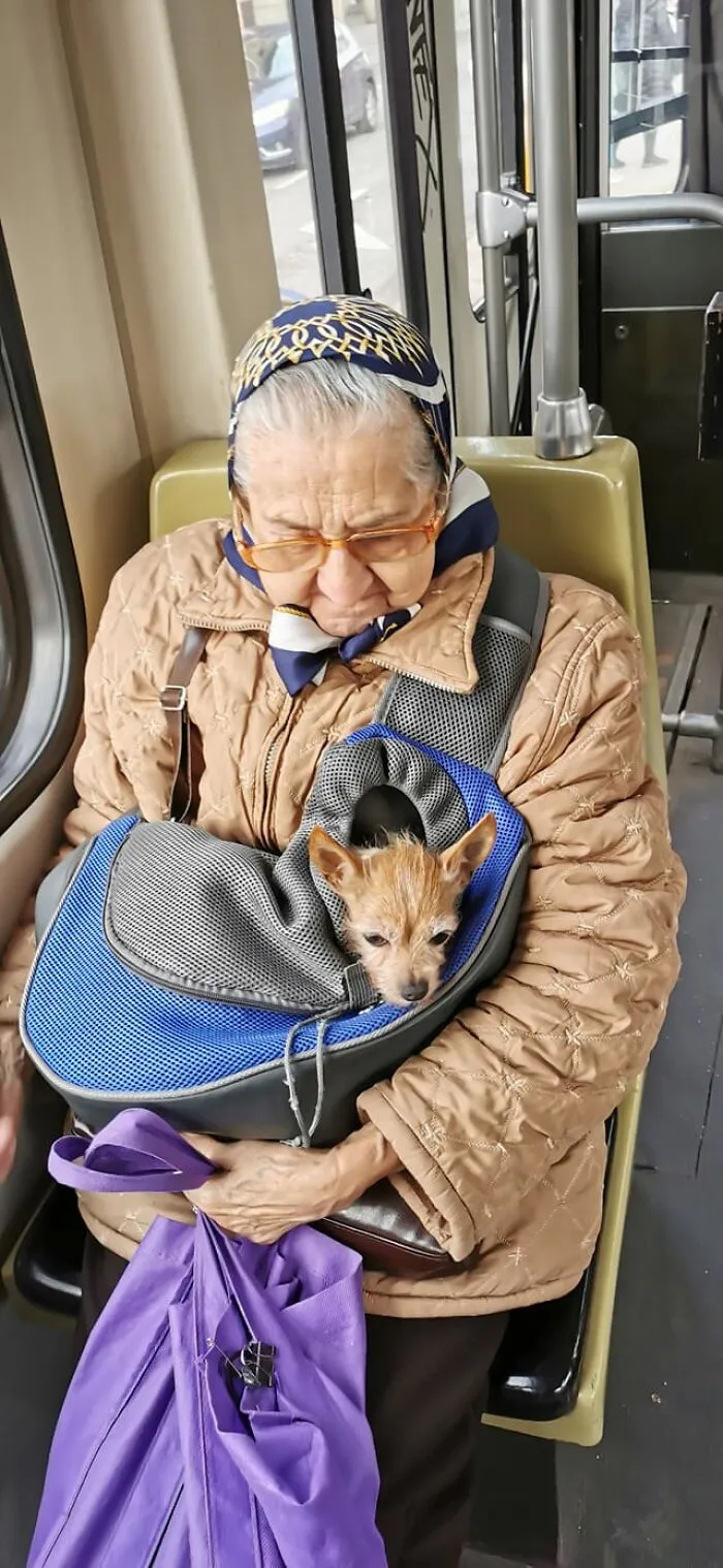 Permítame presentarle a Natalie y a su dueña, la anciana más simpática, que simplemente me dijo, cuando me quedé mirando al perrito en el tranvía: "¡Puedes acariciarla!"