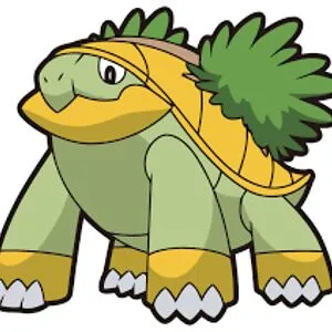 best turtle