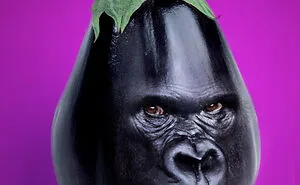 A Photoshop Artist Uses His Imagination To Insert Animals Where You Wouldn't Expect Them To Be ( 18 Pics)