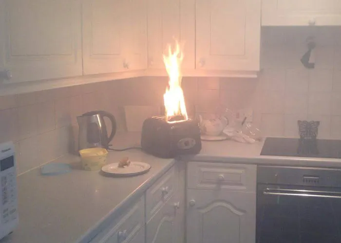 People Share 50 Random And Weird Facts That Make Others Think 'How The Hell Do You Know That?'