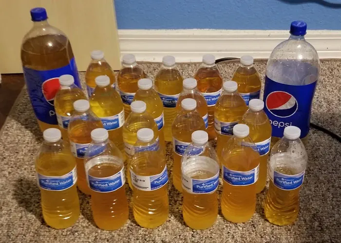 People Share 50 Random And Weird Facts That Make Others Think 'How The Hell Do You Know That?'
