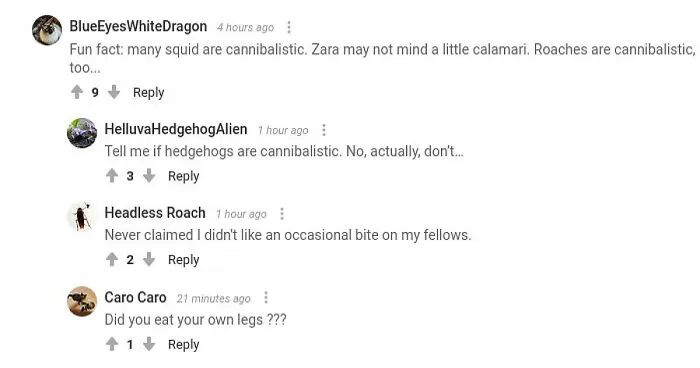 Hey Pandas, What's The Funniest Comment Section Conversation You've Seen So Far? (Closed)