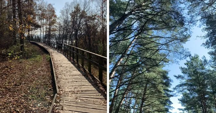 Nature Changed My View Of Life (8 Pics)