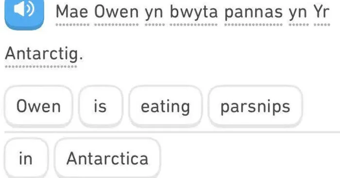 30 Duolingo Sentences That Are Witty And Hilariously Dark