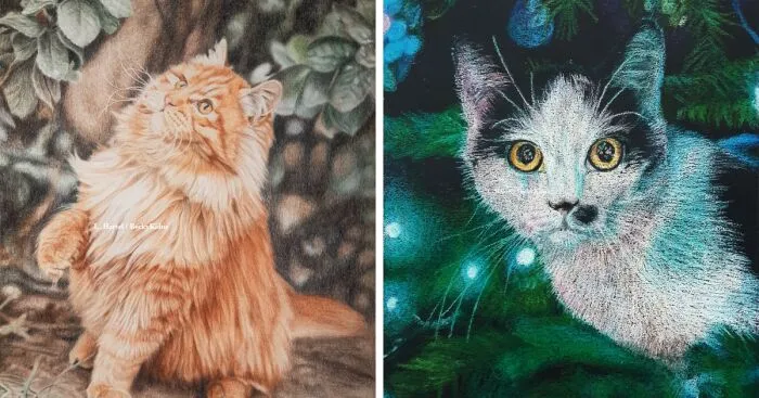 "The Caturdays Project": 25 Cat Drawings I Made In 2022