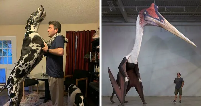 Be Amazed By The Sheer Size Of These 119 Things That Are Bigger Than You Think