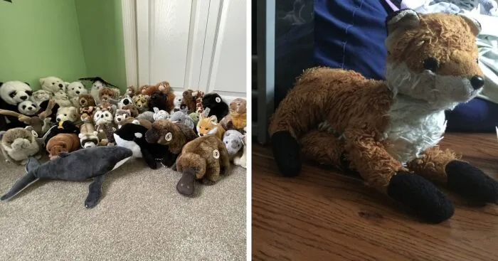 Hey Pandas, Post A Picture Of Your Stuffed Animals (Closed)