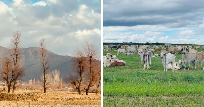 I Took These Pictures While Traveling (19 Pics)