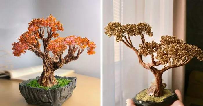 Trees That Have Become An Integral Part Of My Life (6 Pics)