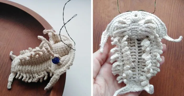 My Trilobite Fossil (4 Pics)