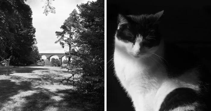 Hey Pandas, Post The Best Black And White Photograph You Have Taken (Closed)