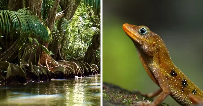 I Photographed Dominica: The Nature Island Of The Caribbean (14 Pics)