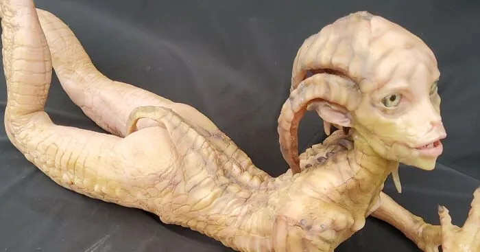 I Created A Silicone Reptilian-Girl Doll