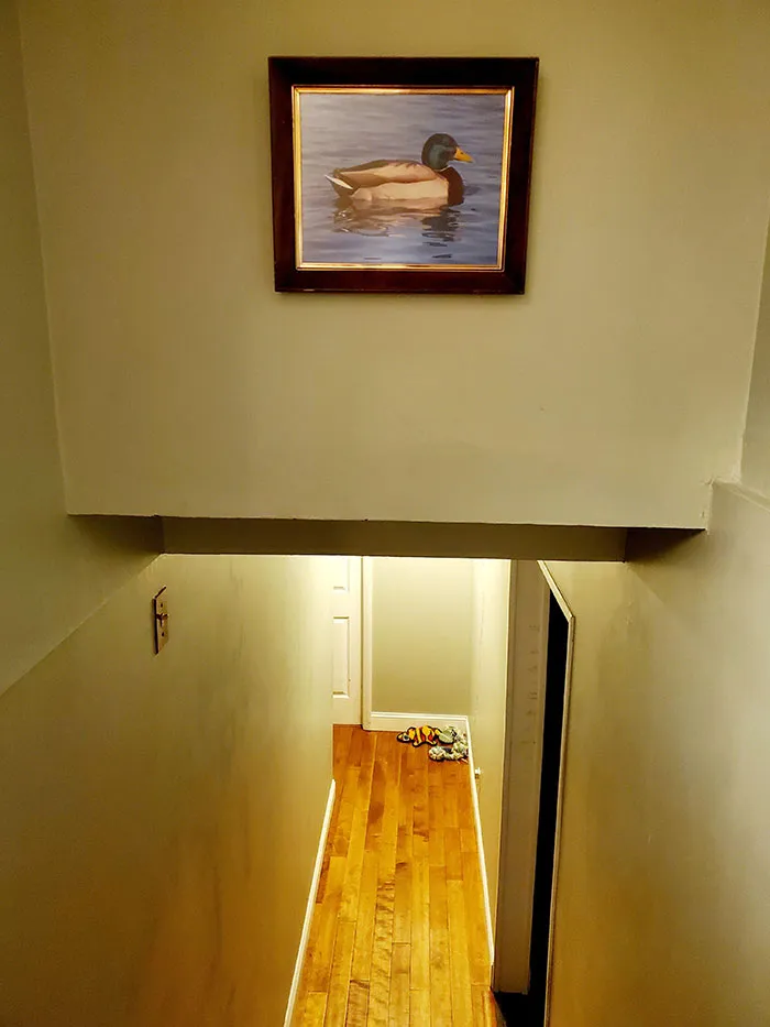 Everyone Kept Hitting Their Heads As They Walked Down My Stairs, So I Hung A Sign As A Warning