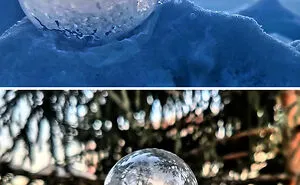 50 Times People Saw The True Power Of Winter And Just Had To Document It (New Pics)