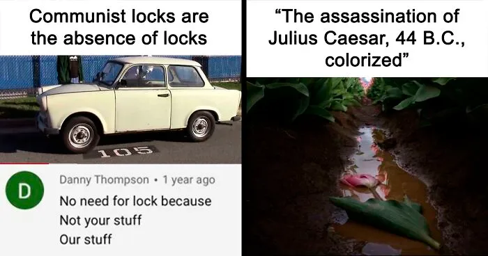 "Underrated Comments": 30 Hilarious And Underrated Comments That Were Too Good Not To Share