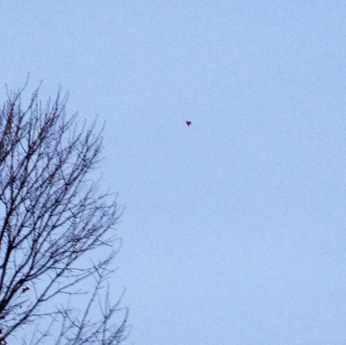 So, I Got My Wife A Balloon For Valentine's Day