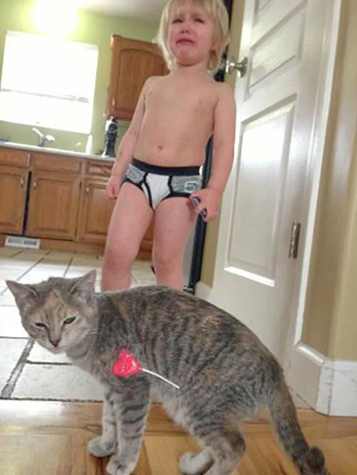 My Cat Took My Brother's Valentine's Day Sucker