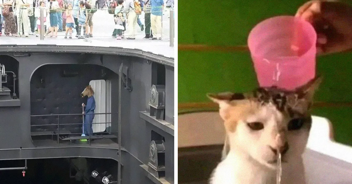 25 Imágenes "sin contexto" que te provocarán muchas preguntas