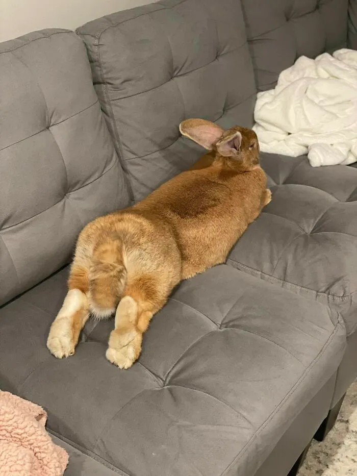 Move Your Feet Lose Your Seat In This House