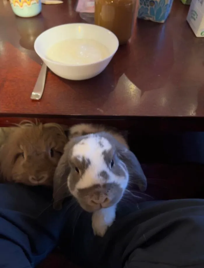 I Was Trying To Eat My Breakfast
