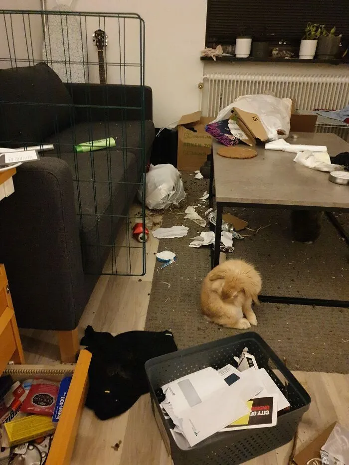 I Can't Figure Out Who Done All This