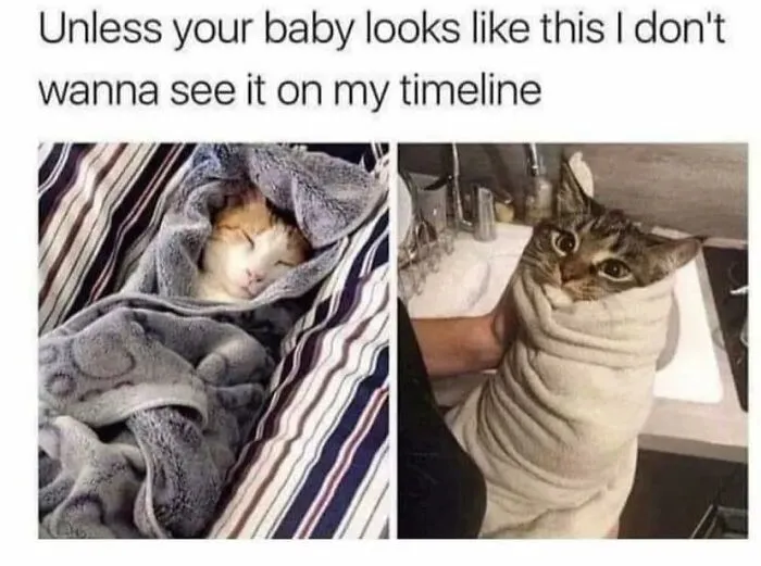 50 Memes For Those Who Have Chosen A Childfree Lifestyle, As Shared By This Facebook Page (New Posts)