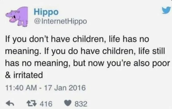 50 Memes For Those Who Have Chosen A Childfree Lifestyle, As Shared By This Facebook Page (New Posts)