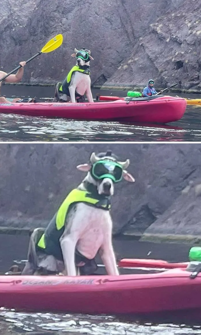 Out Kayaking
