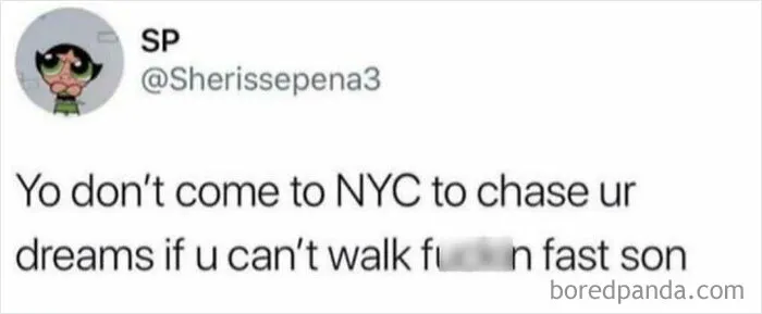 @asknyc