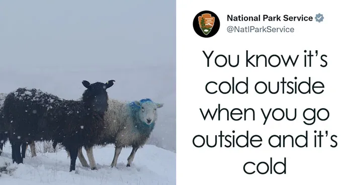 National Park Service Hired The Perfect Social Media Person As Their Tweets Are Hilarious So Here Are 34 Of The Best Ones
