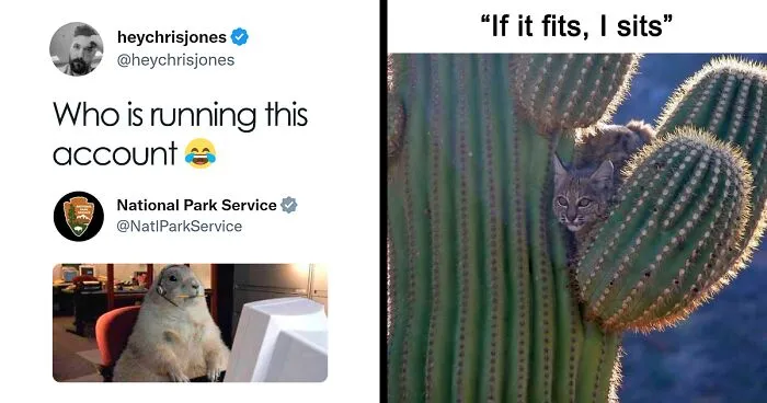National Park Service Hired The Perfect Social Media Person As Their Tweets Are Hilarious So Here Are 34 Of The Best Ones