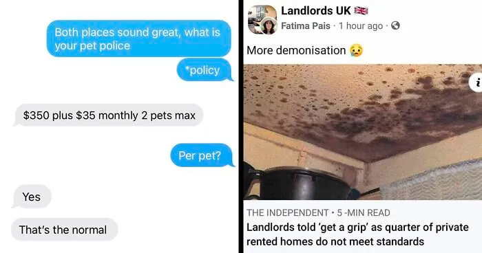 This Online Group Exists To Shame The Absurdity Of The Housing Market And Entitled Landlords (30 New Posts)