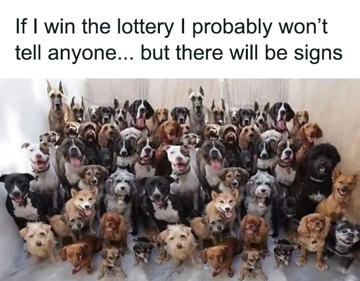 50 Hilarious Memes From The "Female Problems" Facebook Group That Perfectly Sum Up The Struggles Of Being A Woman