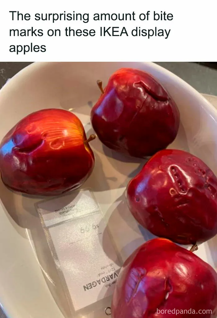 30 Times People Who Visited IKEA Could Not Help But Sum Up Their Experience In Hilarious Memes And Tweets