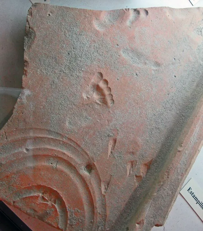 La huella de un niño romano en una baldosa de arcilla roja, impresa mientras se secaba hace aproximadamente 2000 años
