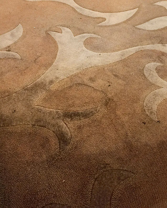 The Carpet At My $250 Per Night Hotel In Disneyland