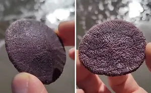 50 Times People Had No Clue What They Were Looking At And This Online Community Had To Explain It To Them